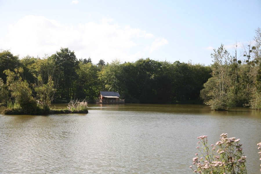 Hébergement AbracadaRoom : Cabane Familiale Naturé'O - Image 7