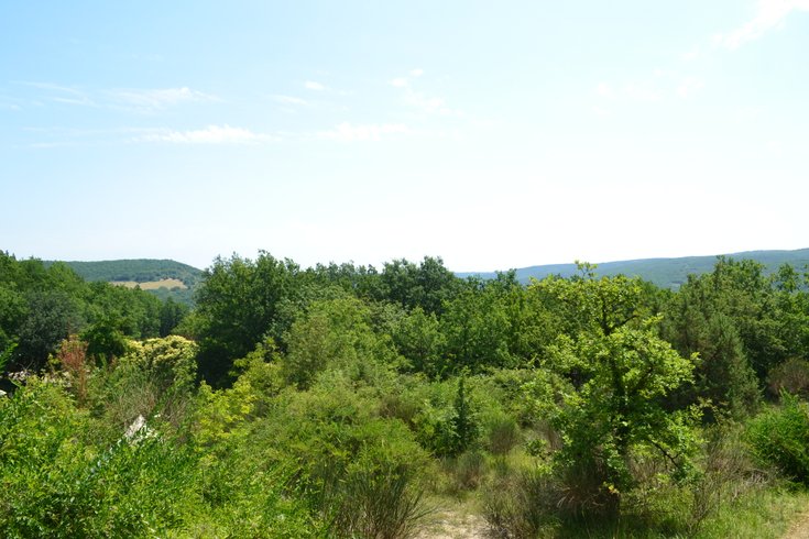 Hébergement AbracadaRoom : Samburu, en-suite - Image 14