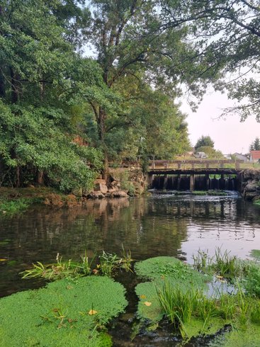 Domaine AbracadaRoom : Moulin de Vilaine - Image 71
