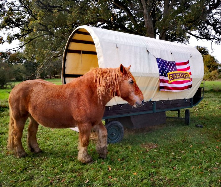 Hébergement AbracadaRoom : Le chariot RANGER - Image 2