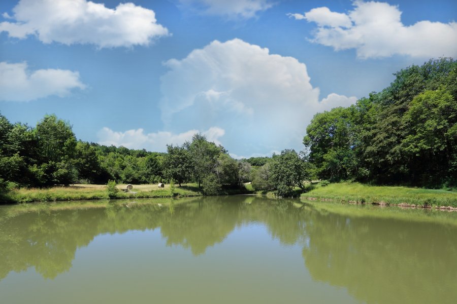 Domaine AbracadaRoom : La Mandrélie - Image 3