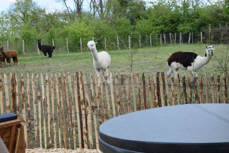 Hébergement AbracadaRoom : Bulle de nature famille & Spa - Image 2