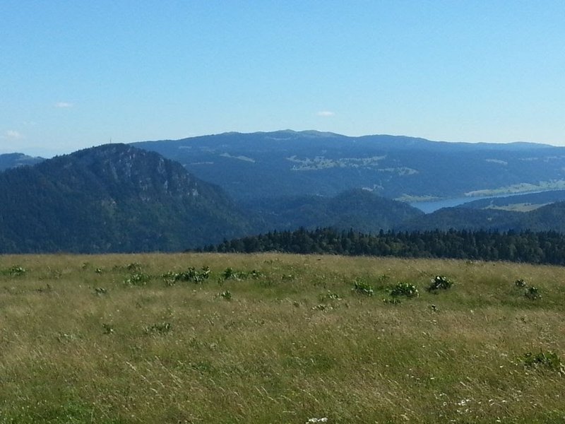 Hébergement AbracadaRoom : Yourte Bosquet - Image 8