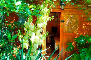 Tiny Garden – Parenthèse nature et sérénité