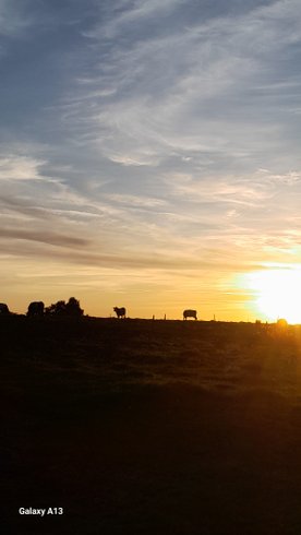 Hébergement AbracadaRoom : La roulotte au bord de l'étang - Image 8