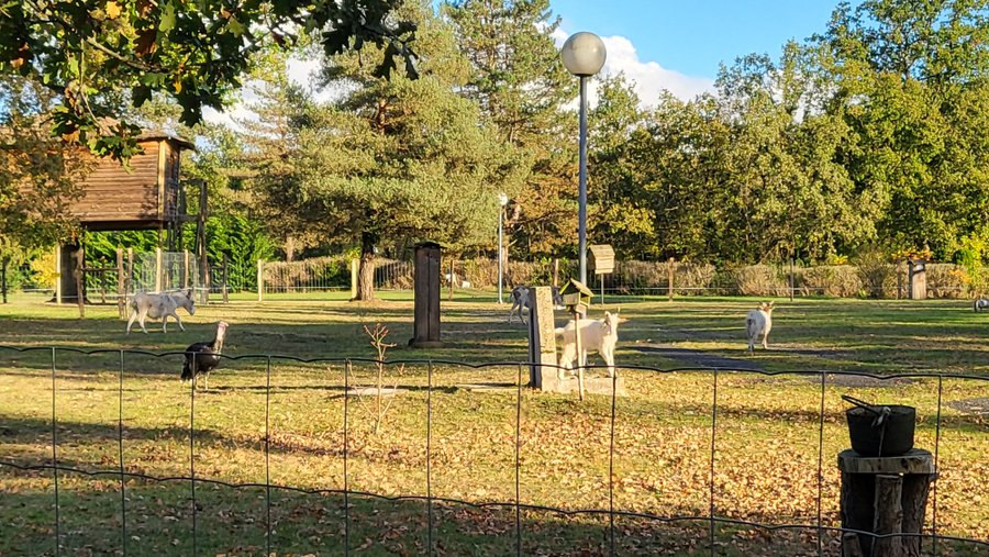 Hébergement AbracadaRoom : Cabane  SPA & SAUNA - Image 6