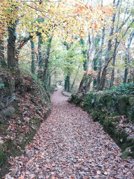 Domaine AbracadaRoom : Le P'tit Gris des Moulins - Image 8