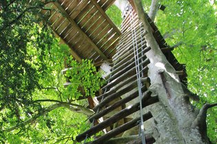 Cabane dans les arbres Ille-et-Vilaine