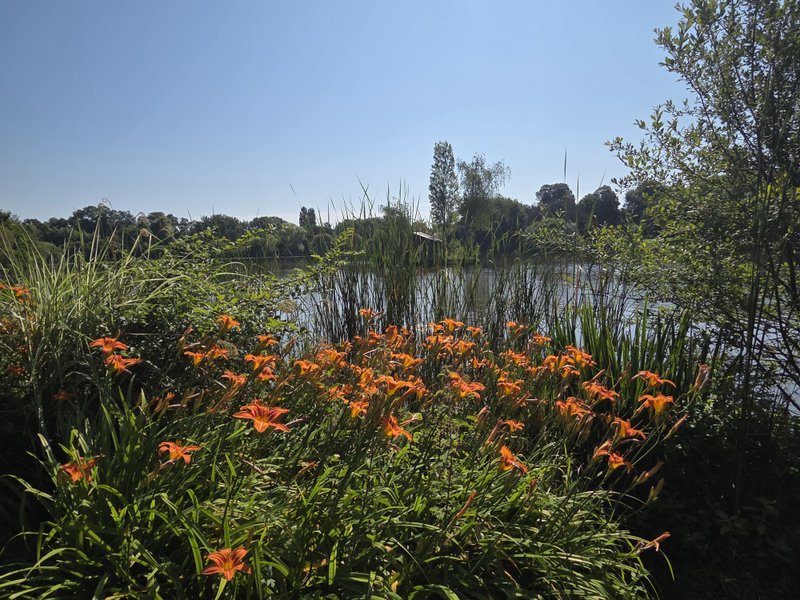 Domaine AbracadaRoom : Au Lit D'Ô - Image 4