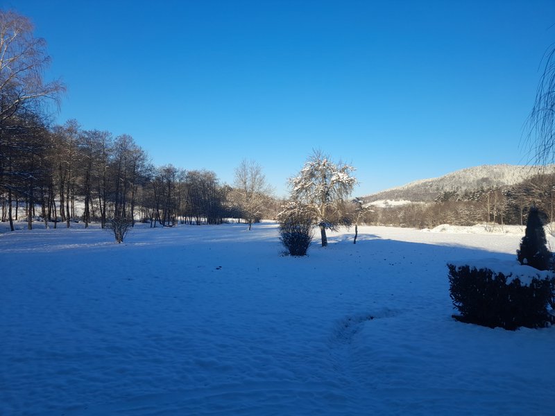 Domaine AbracadaRoom : Le Rêve de Charles - Image 7