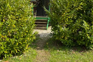 La Roulotte familiale Premium