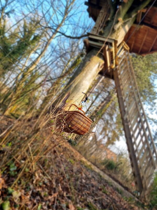 La cabane Au fil de l'Eau & Spa à Wail (11)
