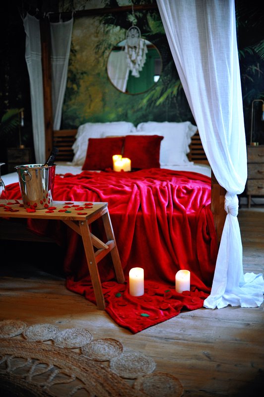 Évasion romantique au coeur de l'Amazonie, SPA, CINÉMA PRIVÉ, 5 min centre à Evreux (14)