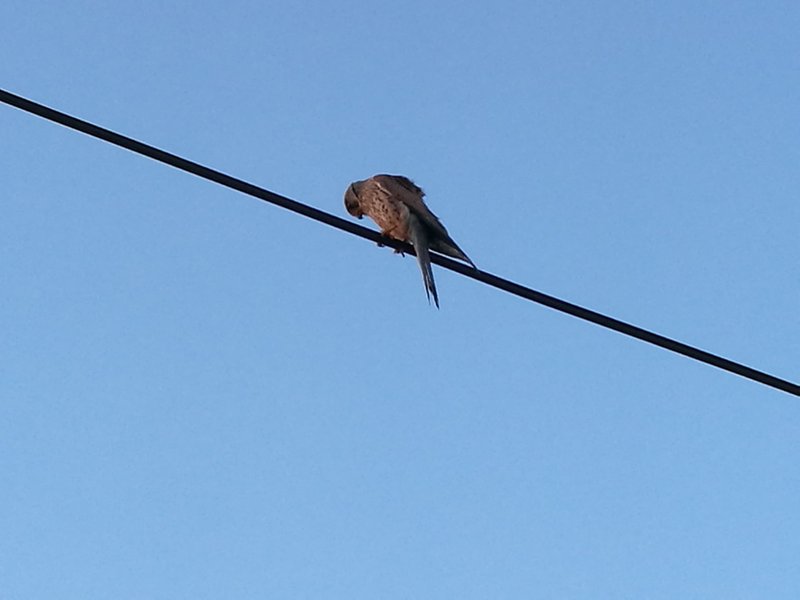 Domaine AbracadaRoom : Les Gîtes de Pique les Muses - Image 6