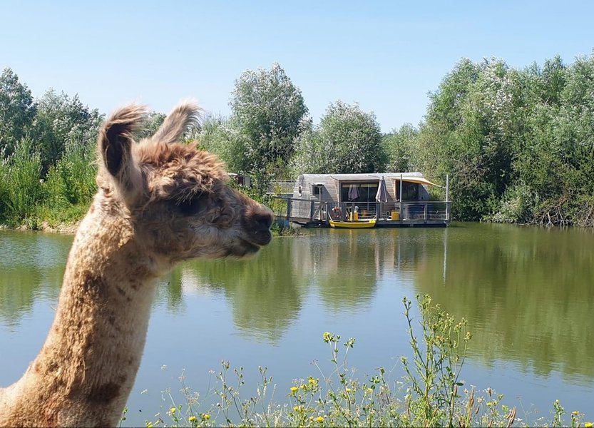 Hébergement AbracadaRoom : Lodge Duo Flottant Spa Les Clos - Image 1