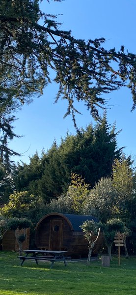 Hébergement AbracadaRoom : Le Tonneau de Negra - Image 2