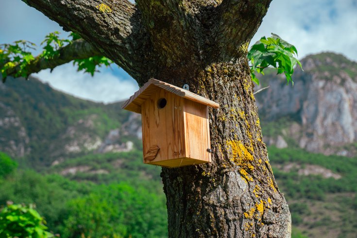 Domaine AbracadaRoom : Camping Écovillage Vacances Soleil du Pibeste - Image 40