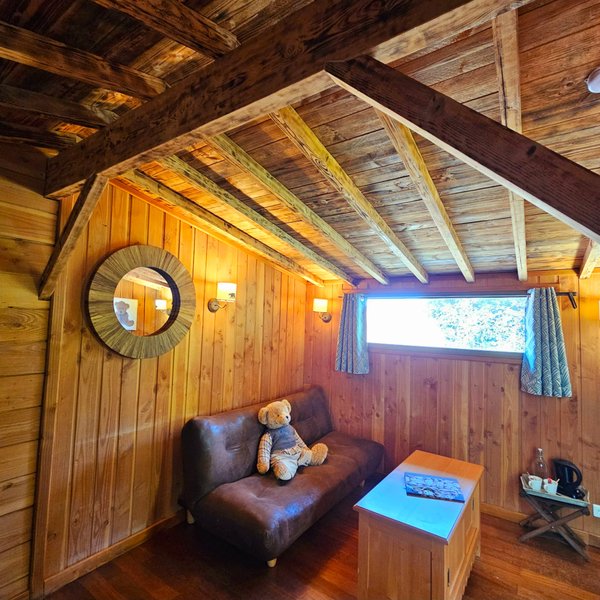 Hébergement AbracadaRoom : L'Ours Brun - Image 4