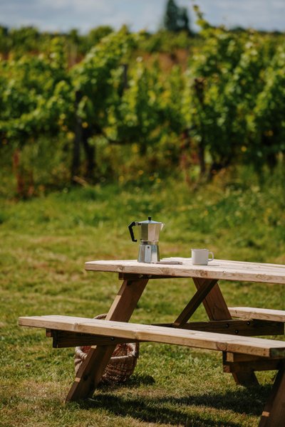 Hébergement AbracadaRoom : Tiny House La Vendange proche de Saint Emilion - Image 7