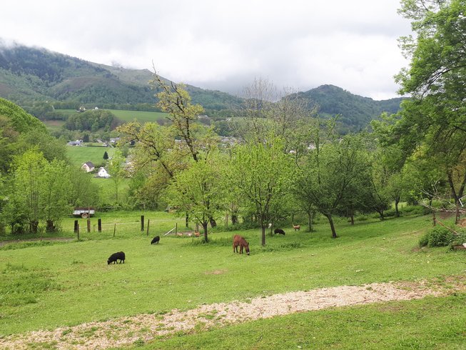 Domaine AbracadaRoom : Le Perchoir des Pyrénées - Image 8