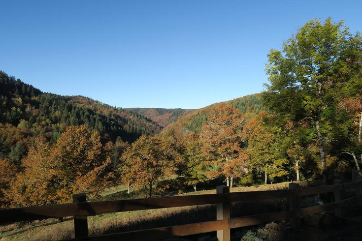 Domaine AbracadaRoom : Les Cabanes de la Guinguette - Image 1