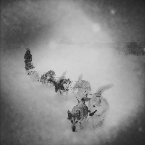 Domaine AbracadaRoom : L' Aventure Nordique - Station de ski de Gourette - Image 6