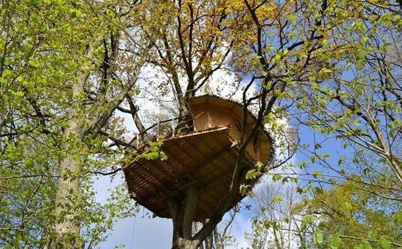 Cabane Guadeloupe à La Baconnière (2)