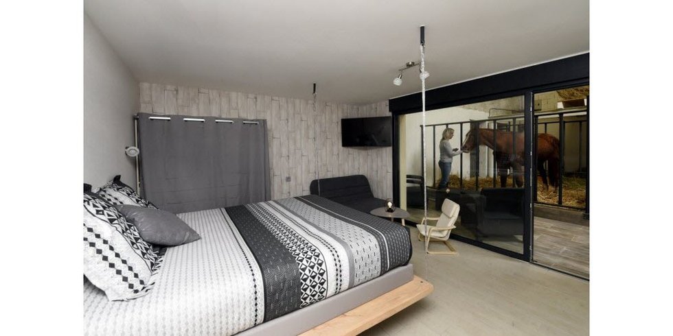 Hébergement AbracadaRoom : Suite 3 - 3 pers. terrasse avec des chevaux pour voisin de chambre - Image 8