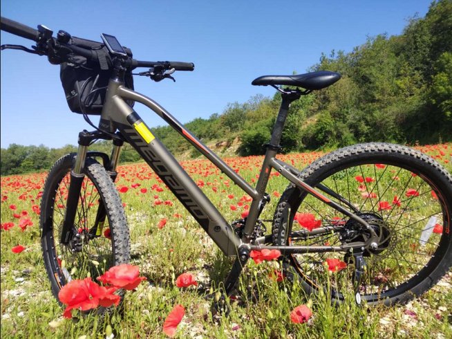 Domaine AbracadaRoom : L'Echappée Sauvage - Image 5