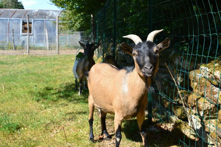 Domaine AbracadaRoom : Les Nuits du Verger - Image 3