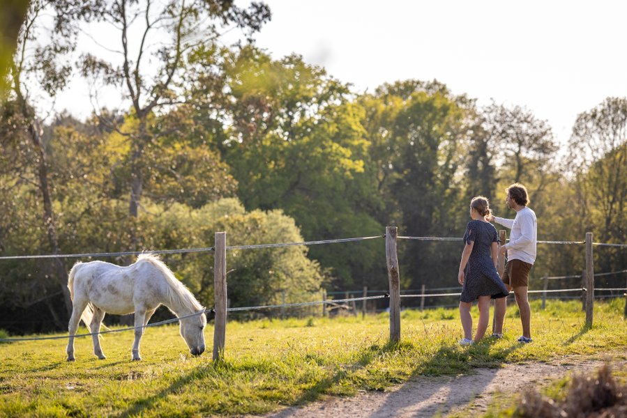 Hébergement AbracadaRoom : Cabane Spa luxe Neizh - Image 9