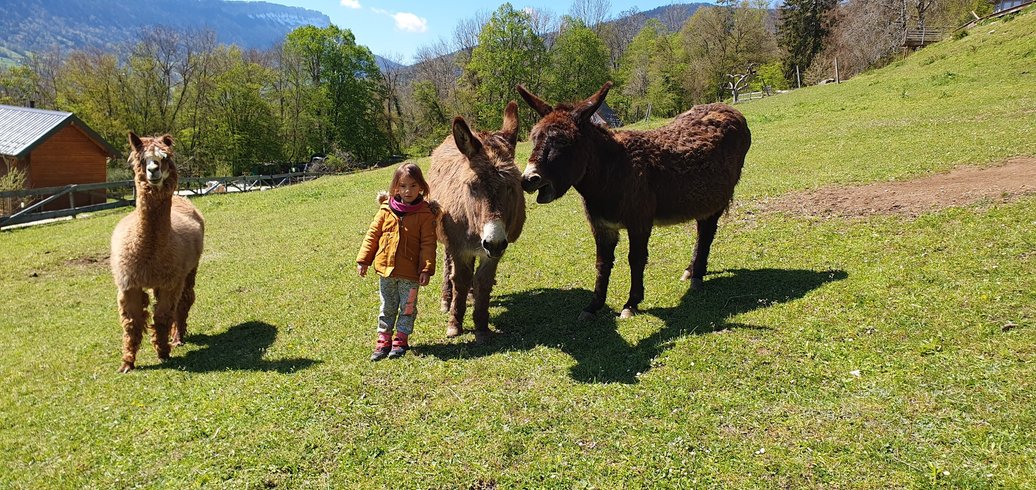 Hébergement AbracadaRoom : Le Dôme des Bauges & sa vue imprenable - Image 31