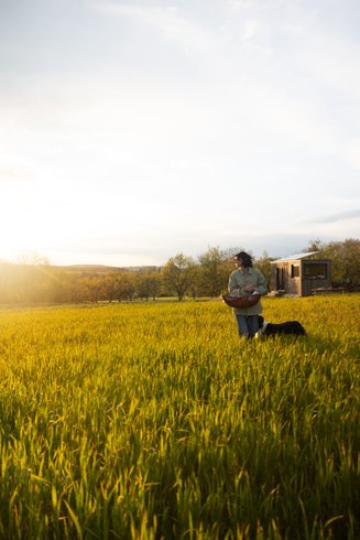 Domaine AbracadaRoom : Parcel Tiny House - dans un verger en Lorraine - Image 14