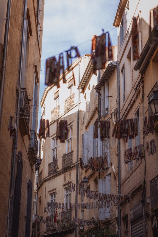 Suite Vénusa & Spa - Saint Roch à Montpellier (16)