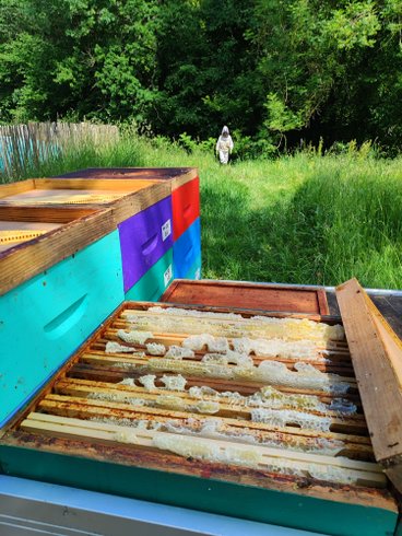 Domaine AbracadaRoom : Le Domaine des Anges - Image 8