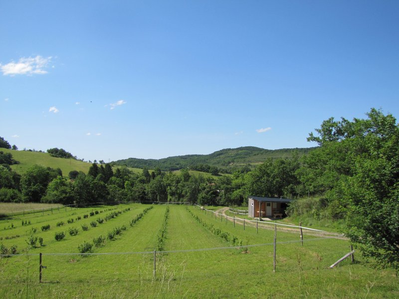 Domaine AbracadaRoom : D'Âme Saveurs - Camping des Vignes - Image 1