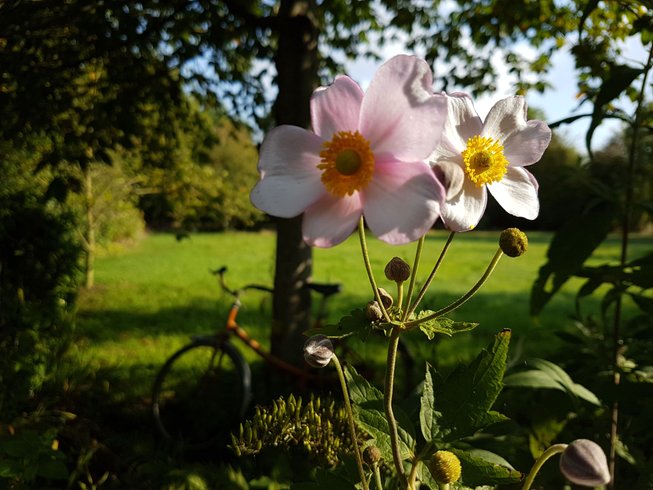 Domaine AbracadaRoom : Le Clos du Lutin Many - Image 21