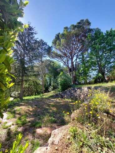 Domaine AbracadaRoom : L'Atelier de Cupidon - Image 4