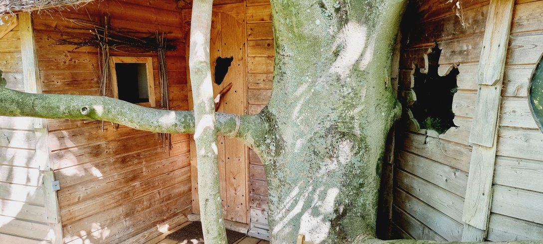 Hébergement AbracadaRoom : La cabane Haut-Perchée & Spa & Sauna - Image 29