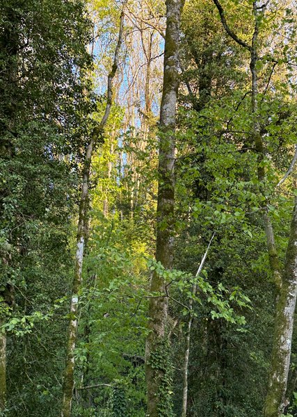 Domaine AbracadaRoom : MICRO PALACES - Image 4