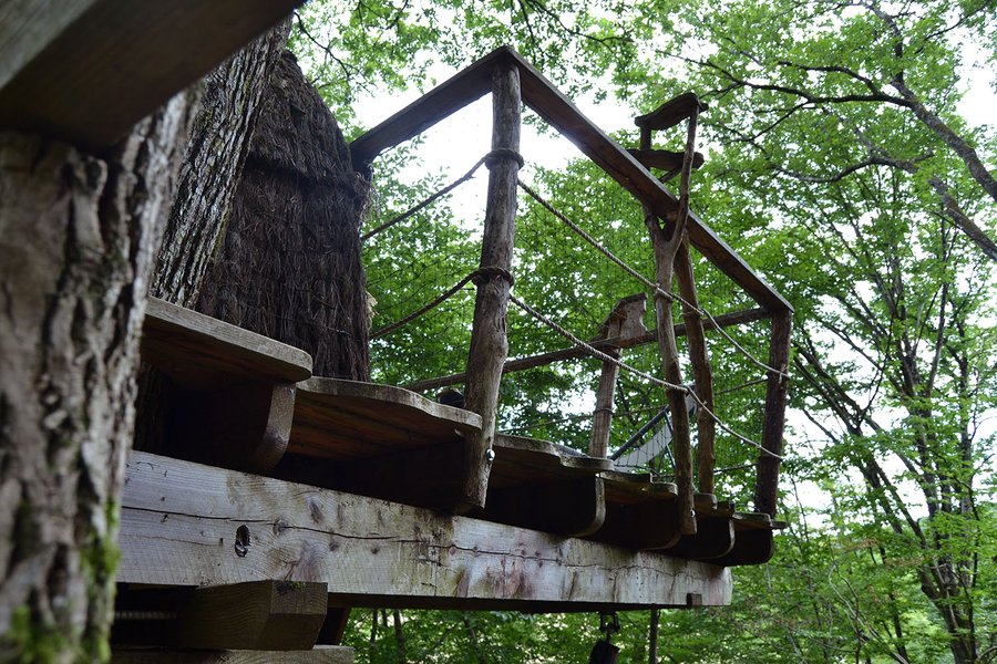 Hébergement AbracadaRoom : Cabane Canopée - Image 3