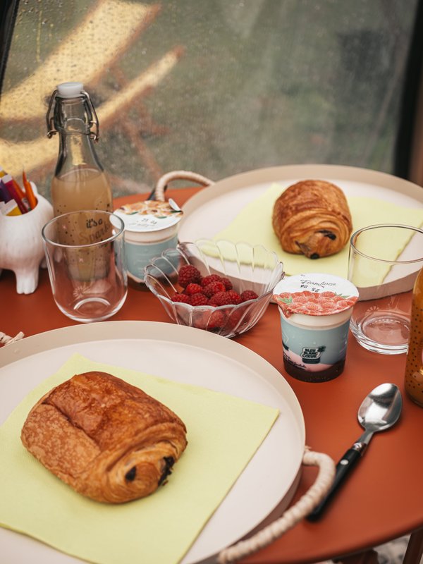 Les alpagas du clos à La Cerlangue (14)