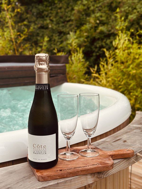 Tiny house des 4 vents & Bain nordique à Manou (17)