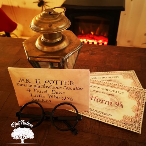 Hébergement AbracadaRoom : Le gîte Harry Potter - Image 5