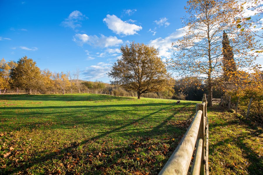 Domaine AbracadaRoom : Homnest (Puybegon) - Image 16