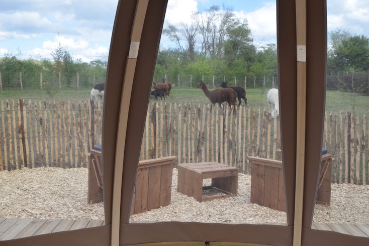 Hébergement AbracadaRoom : Bulle de nature famille & Spa - Image 3