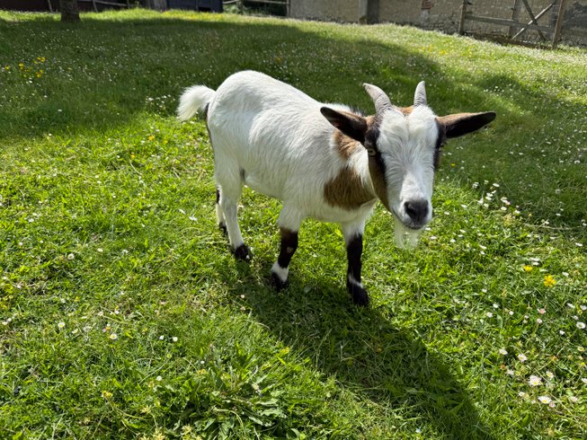 Hébergement AbracadaRoom : Le repère du Bûcheron & Spa - Image 52