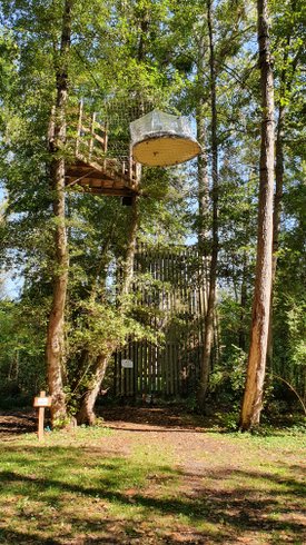 Hébergement AbracadaRoom : Bulle Haute la Maison du Rocher - Image 3