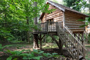 Cabane dans les arbres Ardèche