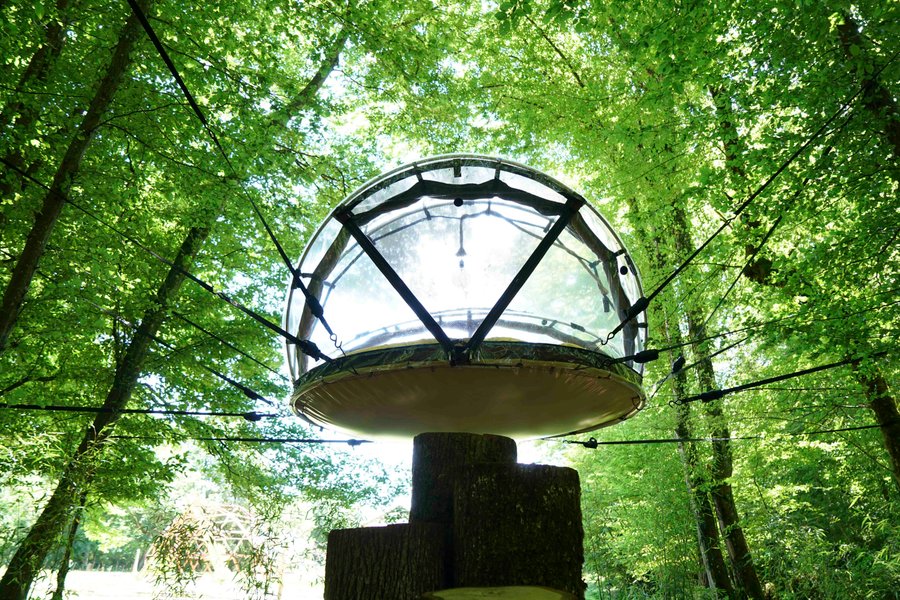 Bulle suspendue - Royaume des gourmets — photo 2